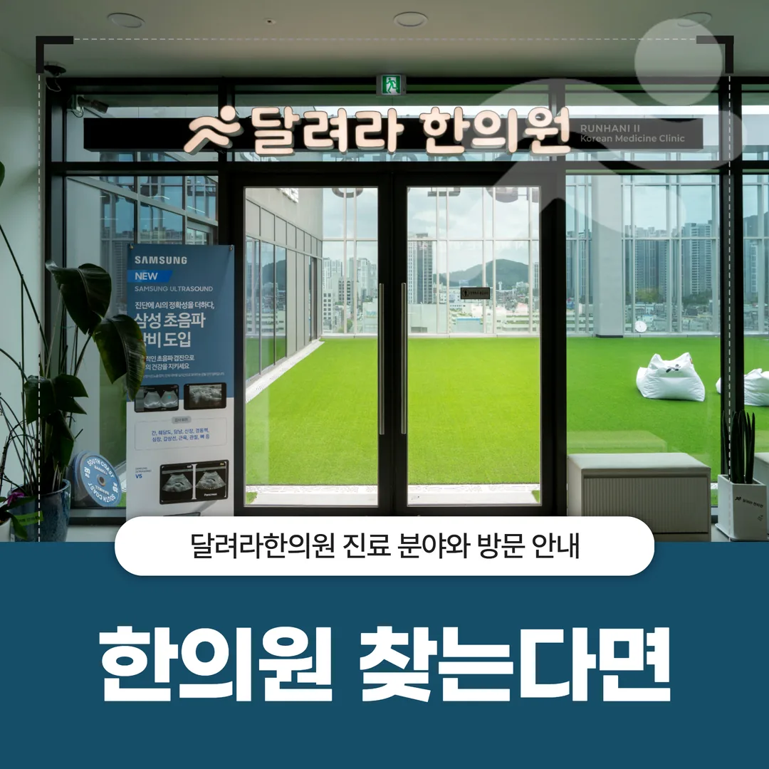 안양역 한의원 찾는다면 — 달려라한의원 진료 분야와 방문 안내