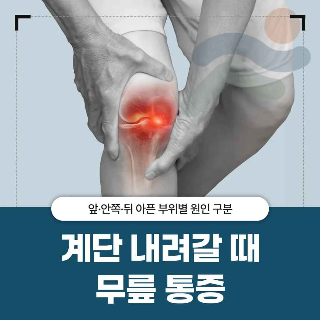 계단 내려갈 때 무릎 통증, 앞·안쪽·뒤 아픈 부위별 원인 구분