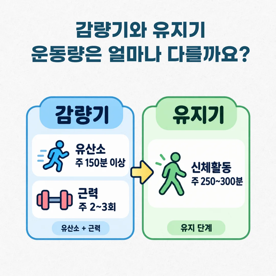 감량기와 유지기의 권장 신체활동량 비교 그림 - 유산소 주 150분 이상, 근력 주 2~3회, 유지기 주 250~300분