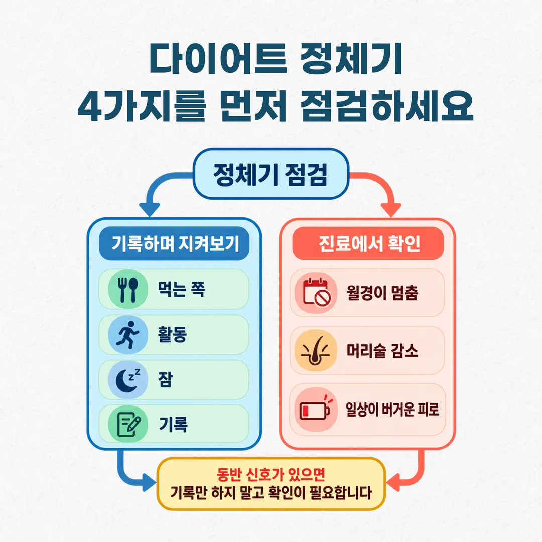 다이어트 정체기에서 기록하며 지켜볼 상태와 진료에서 확인할 동반 신호를 가른 갈림 그림