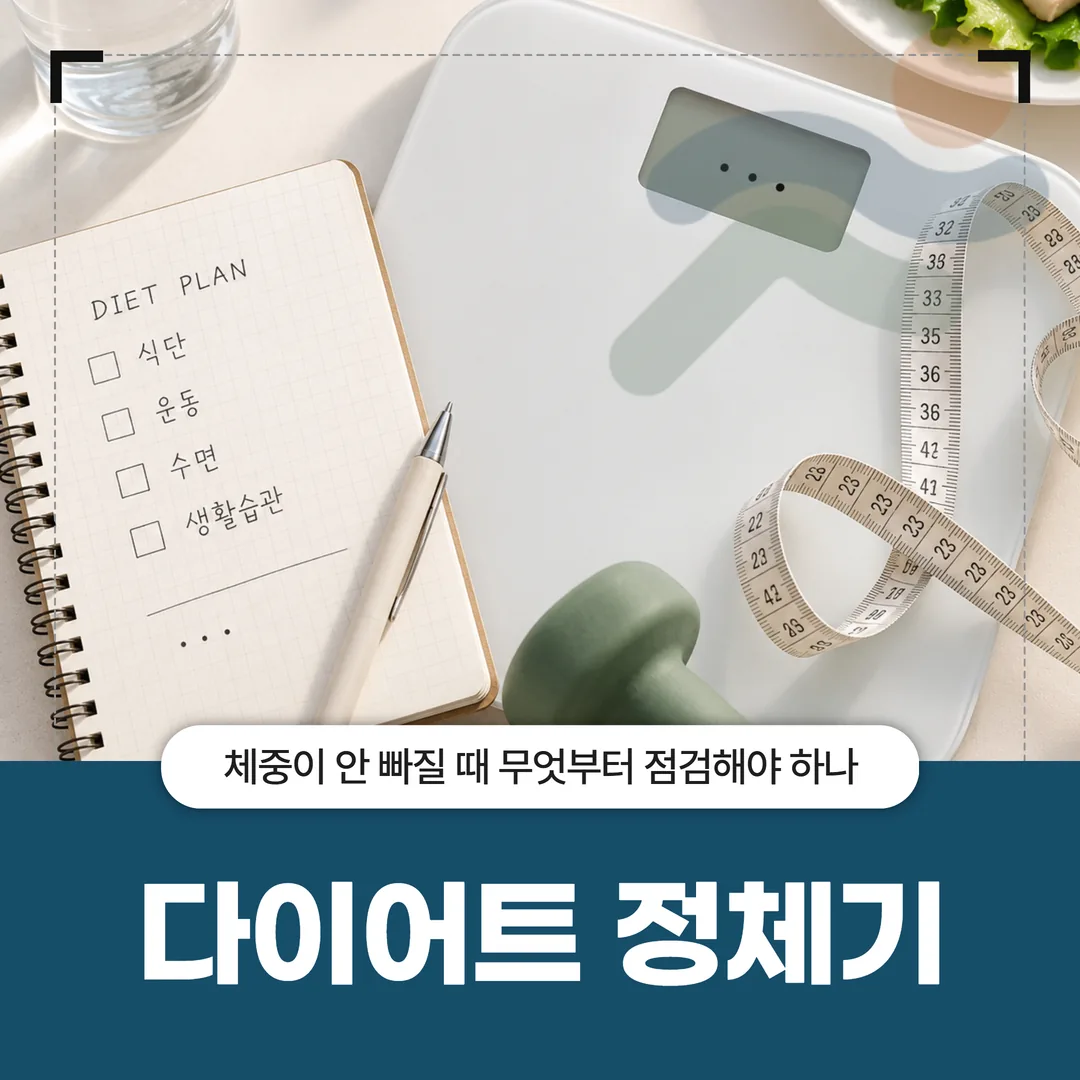 다이어트 정체기, 체중이 안 빠질 때 무엇부터 점검해야 하나