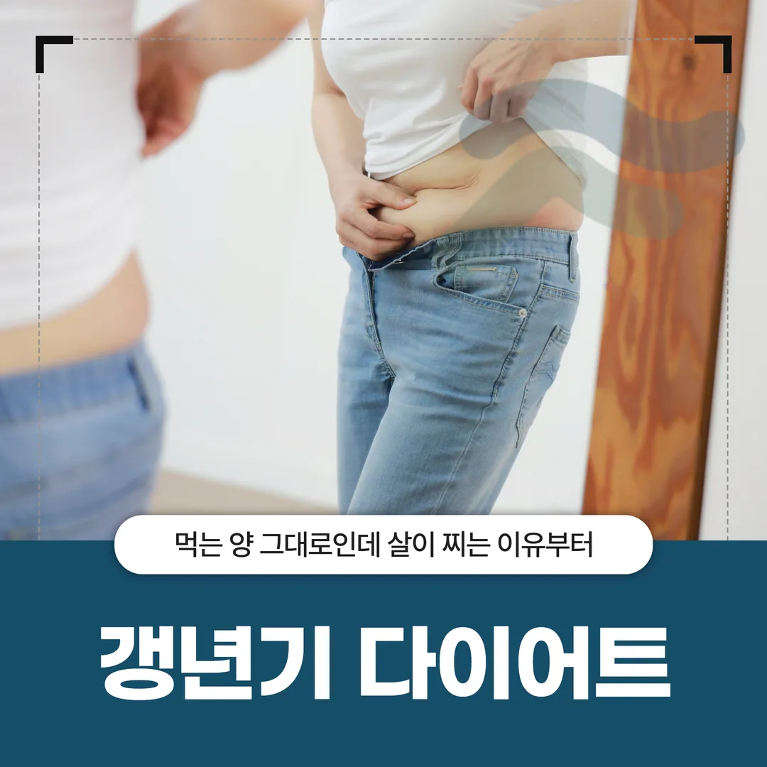 갱년기 다이어트, 먹는 양 그대로인데 살이 찌는 이유부터