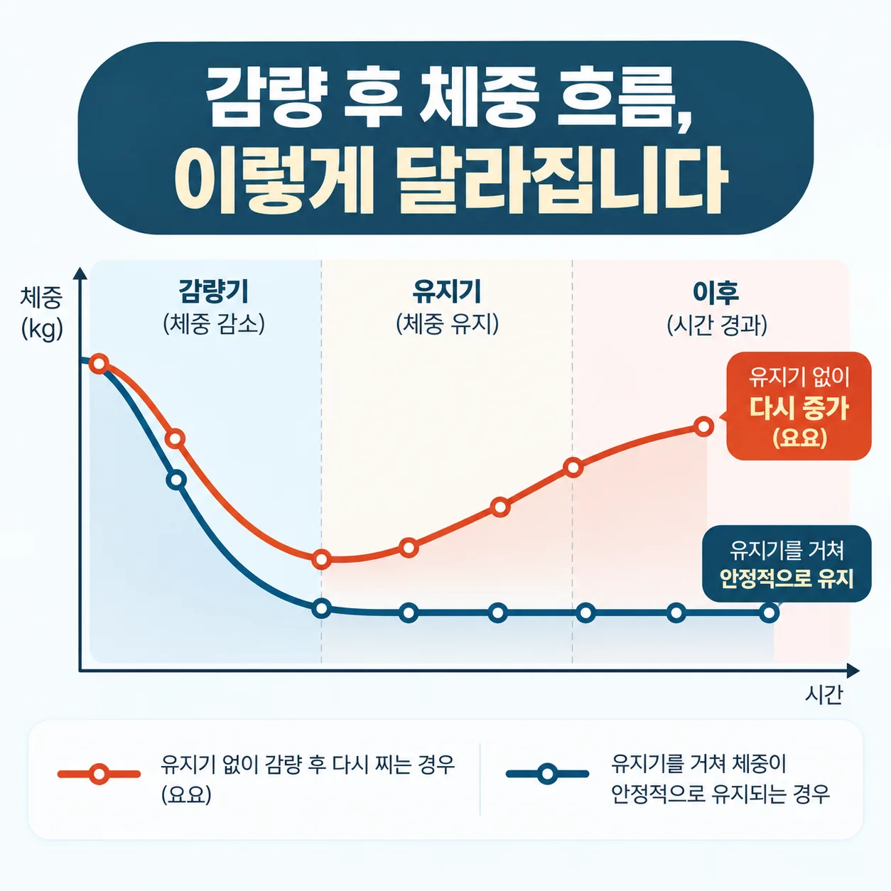 다이어트 요요 감량 뒤 체중이 다시 늘어나는 흐름과 유지기 흐름 비교 개념도