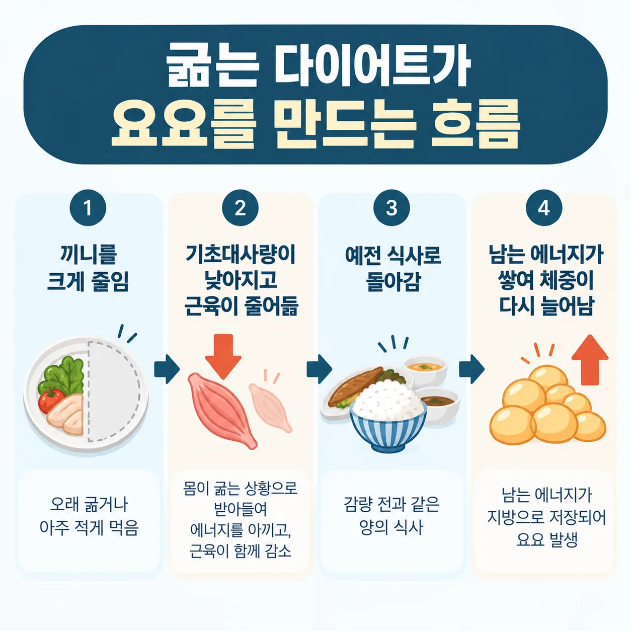 굶는 다이어트 뒤 기초대사량 저하와 근육 감소로 요요가 생기는 흐름도