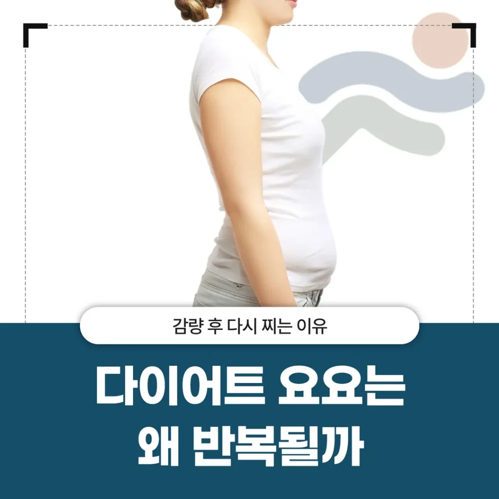다이어트 요요는 왜 반복될까 — 감량 후 다시 찌는 이유