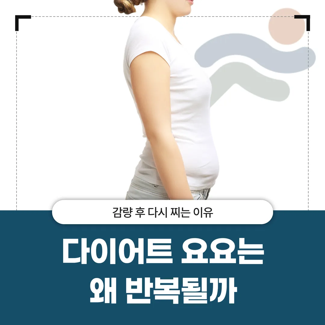 다이어트 요요는 왜 반복될까 — 감량 후 다시 찌는 이유