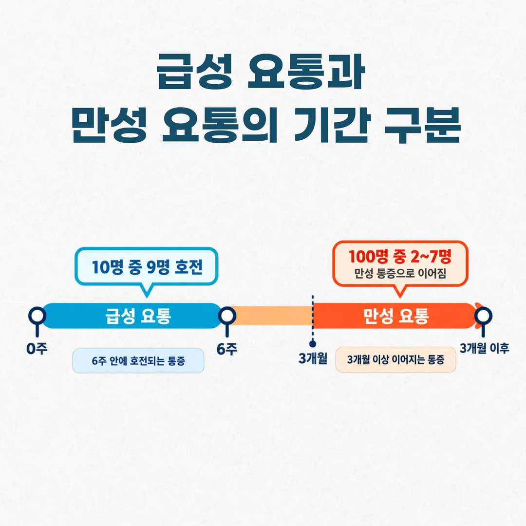 급성 요통과 만성 요통의 기간 구분과 회복 비율 도표