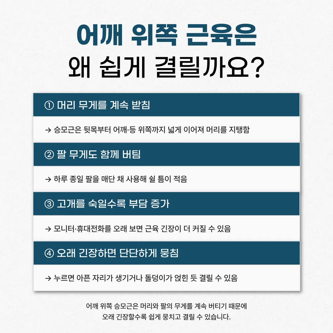 고개를 숙일 때 머리 무게를 받치는 승모근 위치 개념도