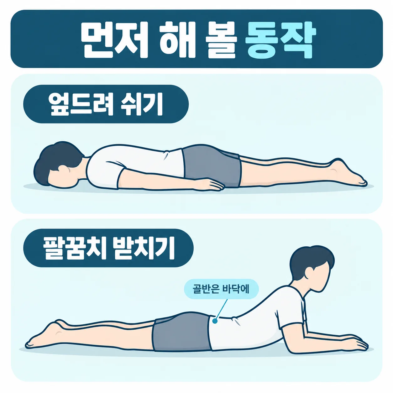 허리디스크 운동 엎드려 쉬기와 팔꿈치로 상체 받치기 두 동작 선 그림